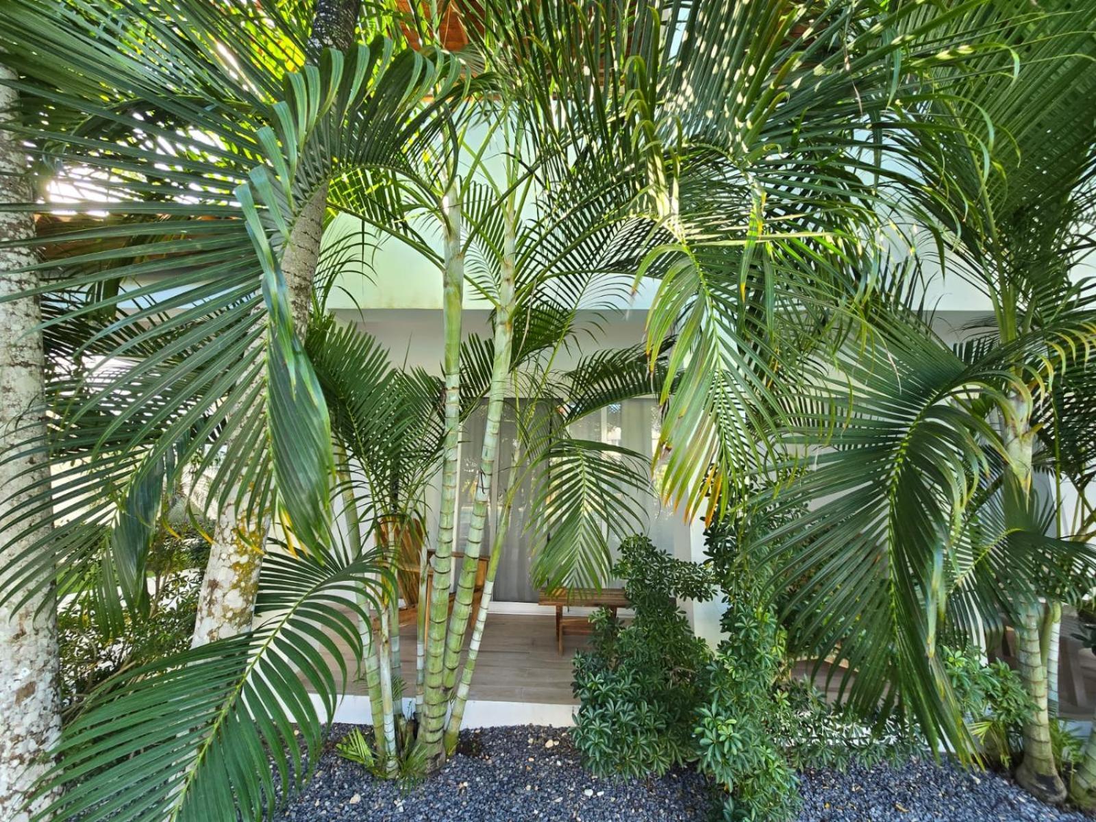 Residencial Paraiso Bayahíbe Exterior foto